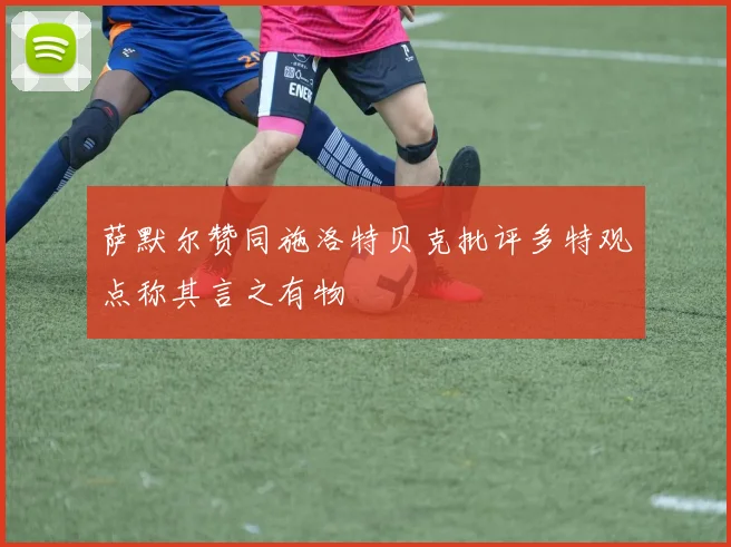 萨默尔赞同施洛特贝克批评多特观点称其言之有物